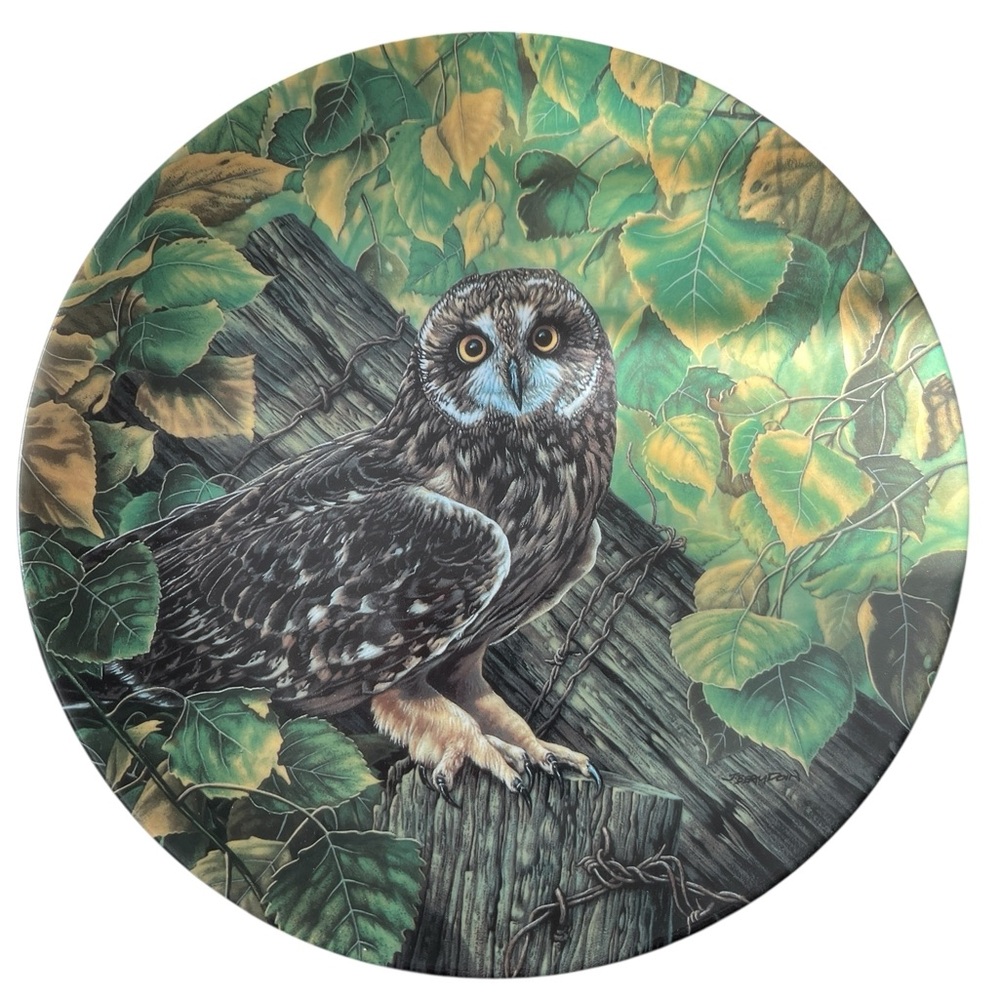 🔥SUPER SALE! 🔥🖤 Short-Eared Owl Plate by Edwin M. Knowles Fine China – Collector